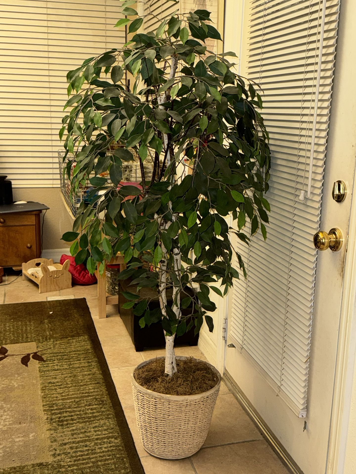 Fake Plant