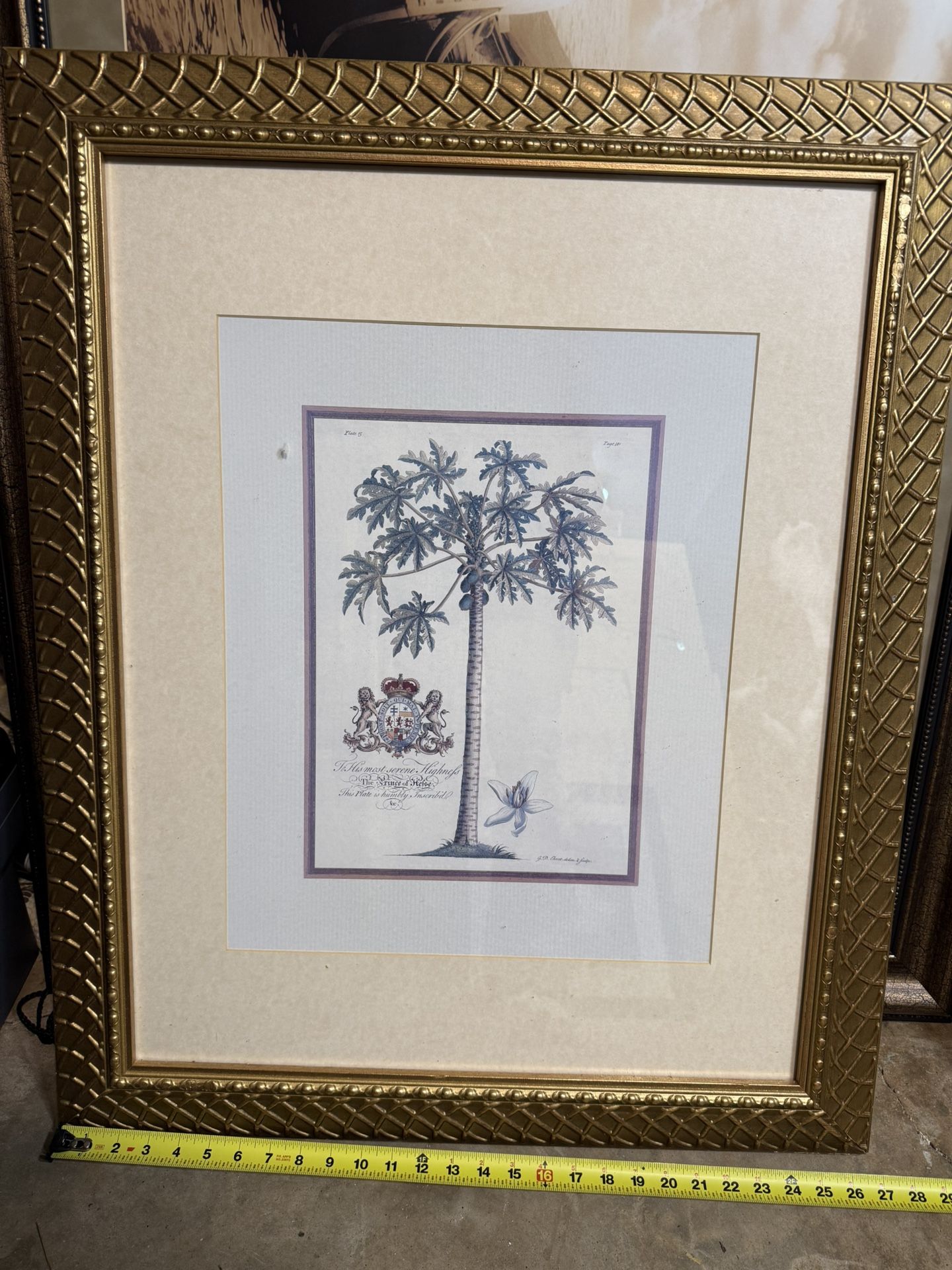 Florida Wall Decor Framed Art - 33”x27”