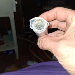 Massachusetts And Michigan State Quarters 