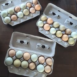 Farm Fresh Eggs