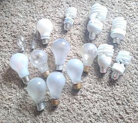 Assortment of Lightbulbs