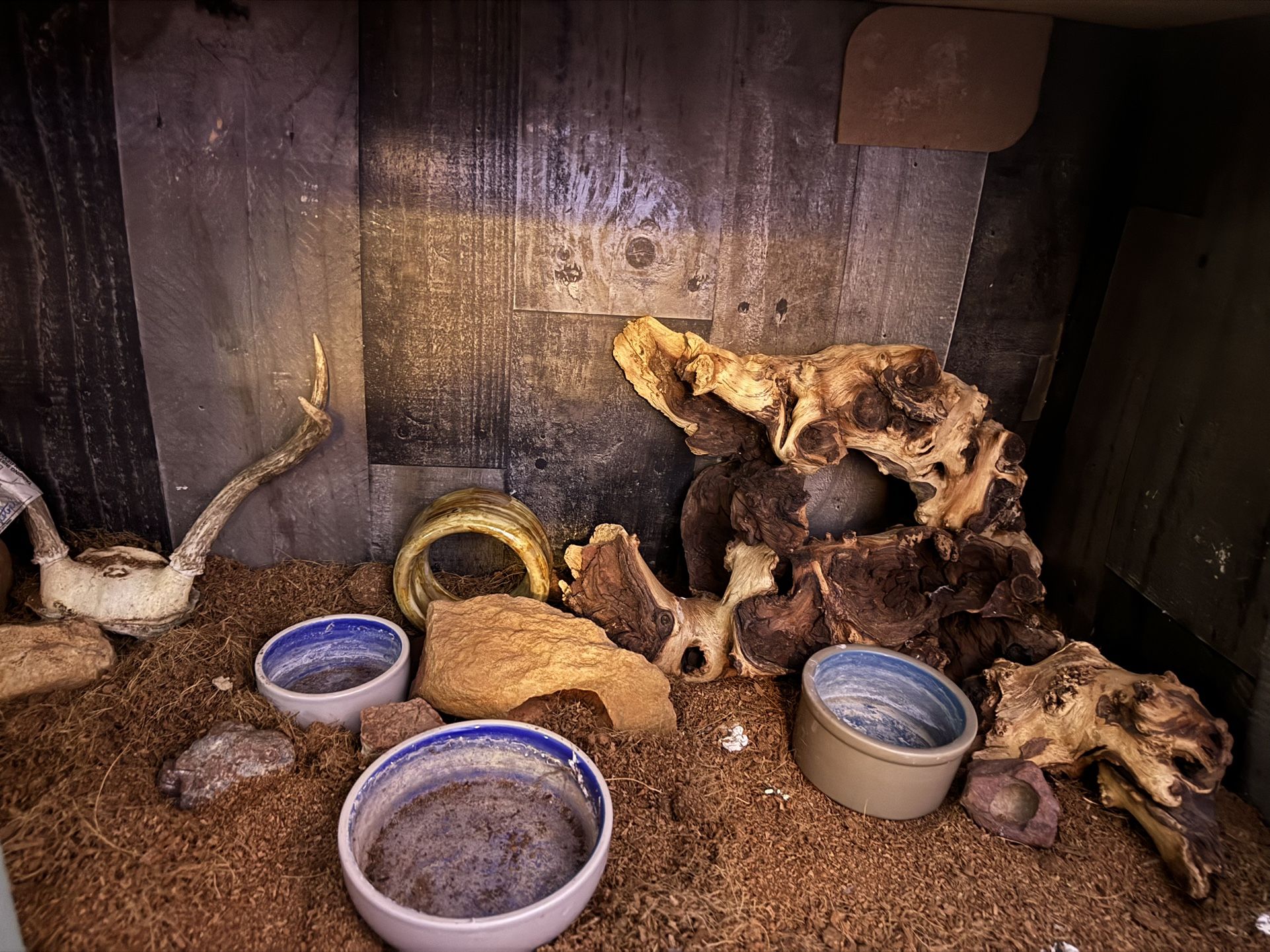 Reptile Enclosure