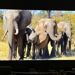 Sony BRAVIA 85” 4K HDR TV – Super Bowl Ready