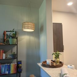 Plug In Pendant Light 