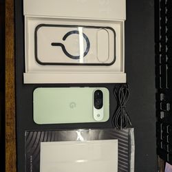 Google Pixel 9 Wintergreen Unlocked Dbrand Ghost