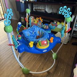 Baby Einstein Bouncer