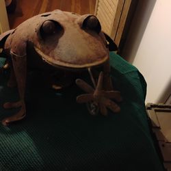 Metal Yard Art Giant Frog / Candle Lit 