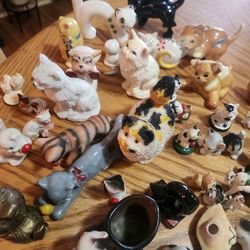 CATS