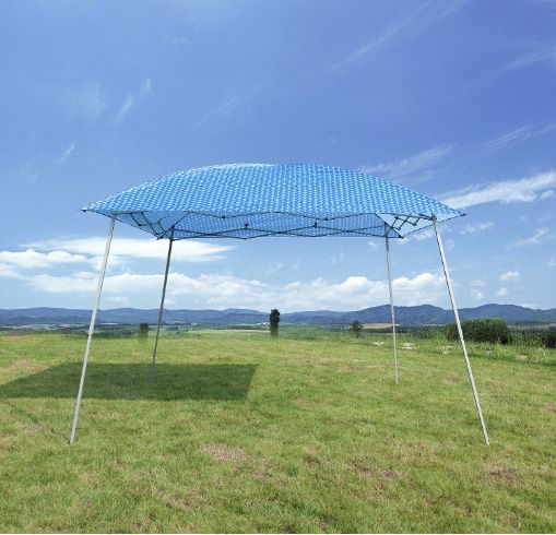 Pop Up Canopy Party Tent with Carry Bag