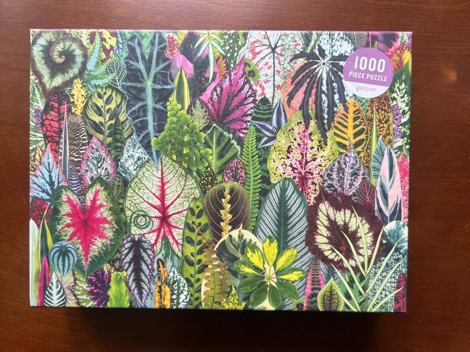 Galison Puzzle (Houseplant jungle)