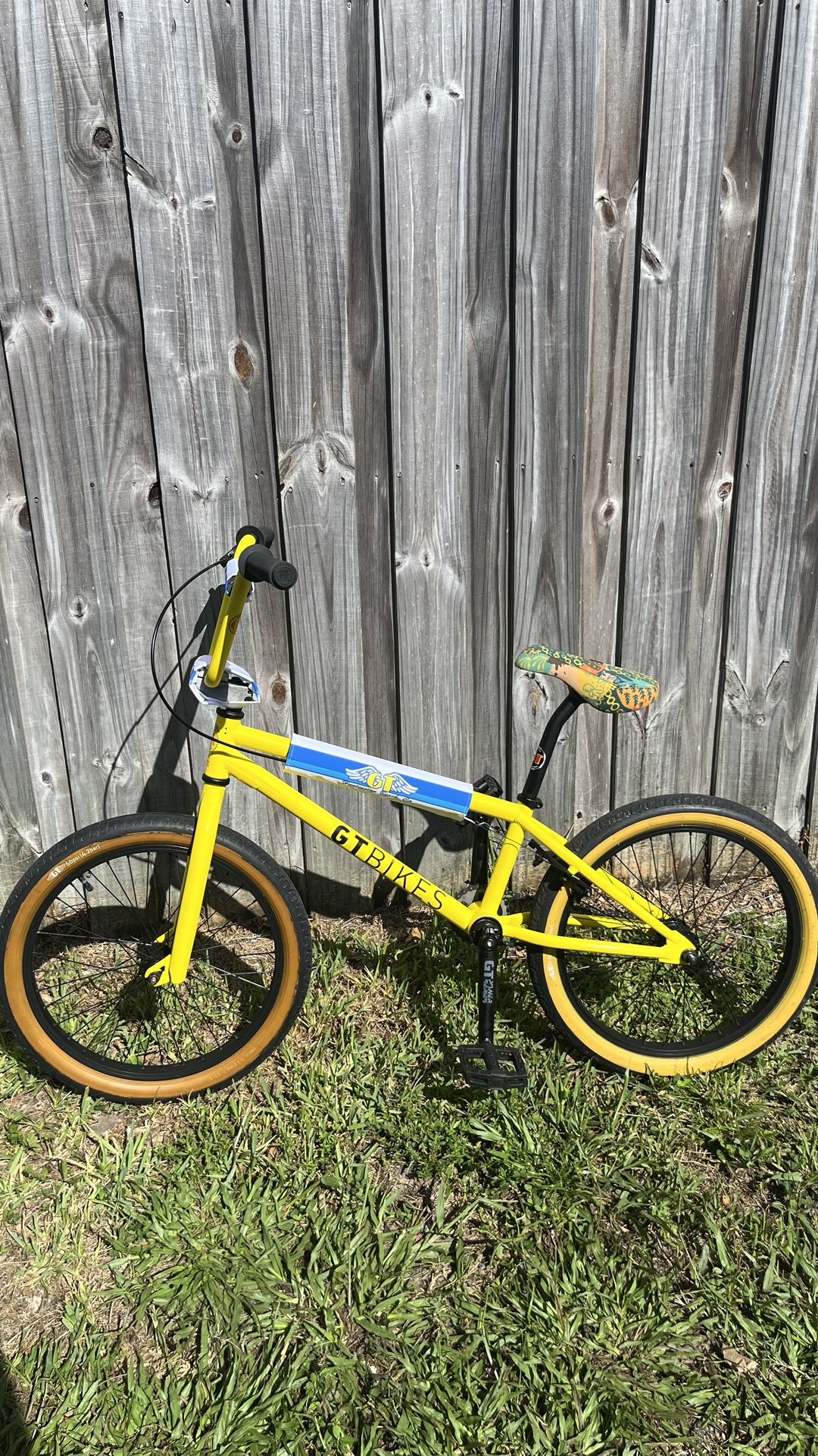 GT BMX 20 Inch Bike