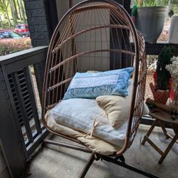 Hanging Egg Chair