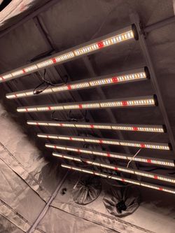 1000 watt LED Spectre Phaser 660 watt FULL Spectrum Grow Lights