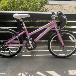 Girls Mountain Bike, 20” Wheels