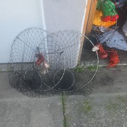Lobster Net