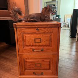 Filing Cabinet 