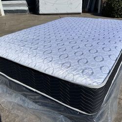 Full Orthopedic Deluxe Collection!!