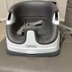 Ingenuity Booster Seat With Tray