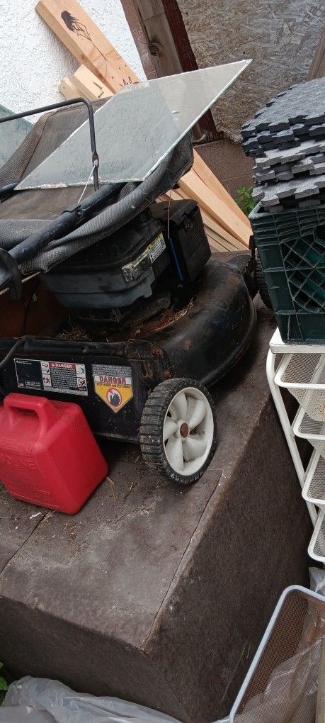 Working Lawn Mower