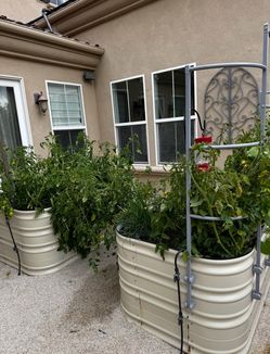 Vego raised garden beds with trellis