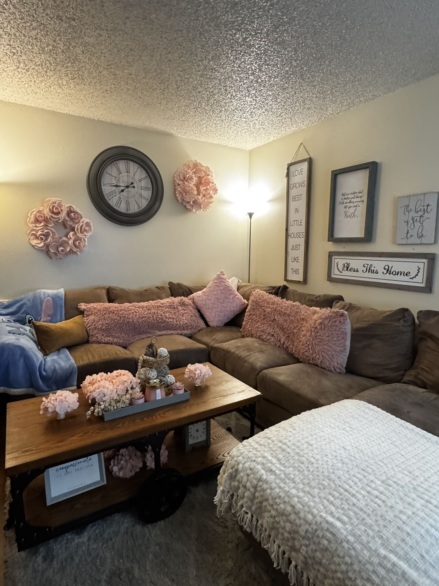 Brown Couches/ No decorations 