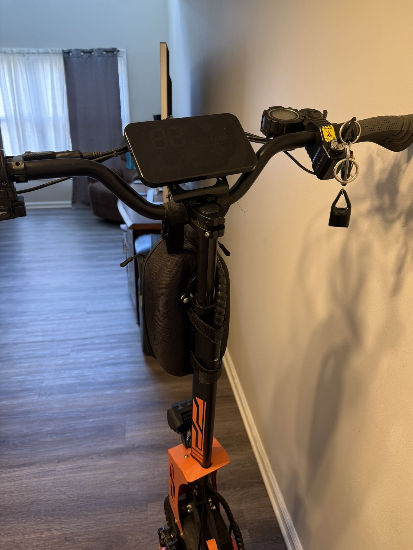 Adult Scooter