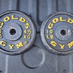 TWO Gold's Gym 10 Pound Weight Plates