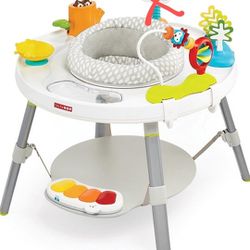 Skip Hop Activity Center Baby To Toddler