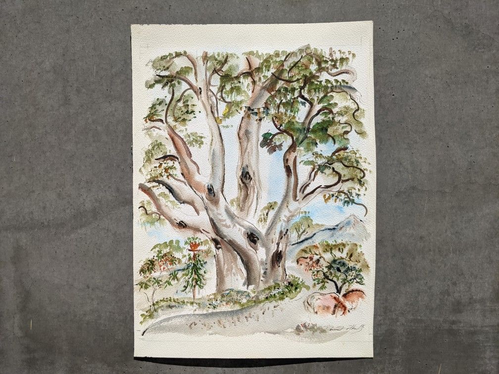Rare Original Fine Art Australian Artist Doreen Folkerts 1977 Watercolor