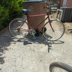 Bicycle 🚲 
