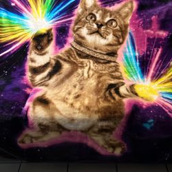 Wild Frontier Galactic Cat Beautiful Soft Blanket