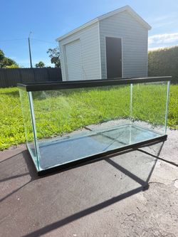 40 gallon tank/enclosure