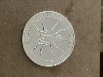 Australia silver funnel spider