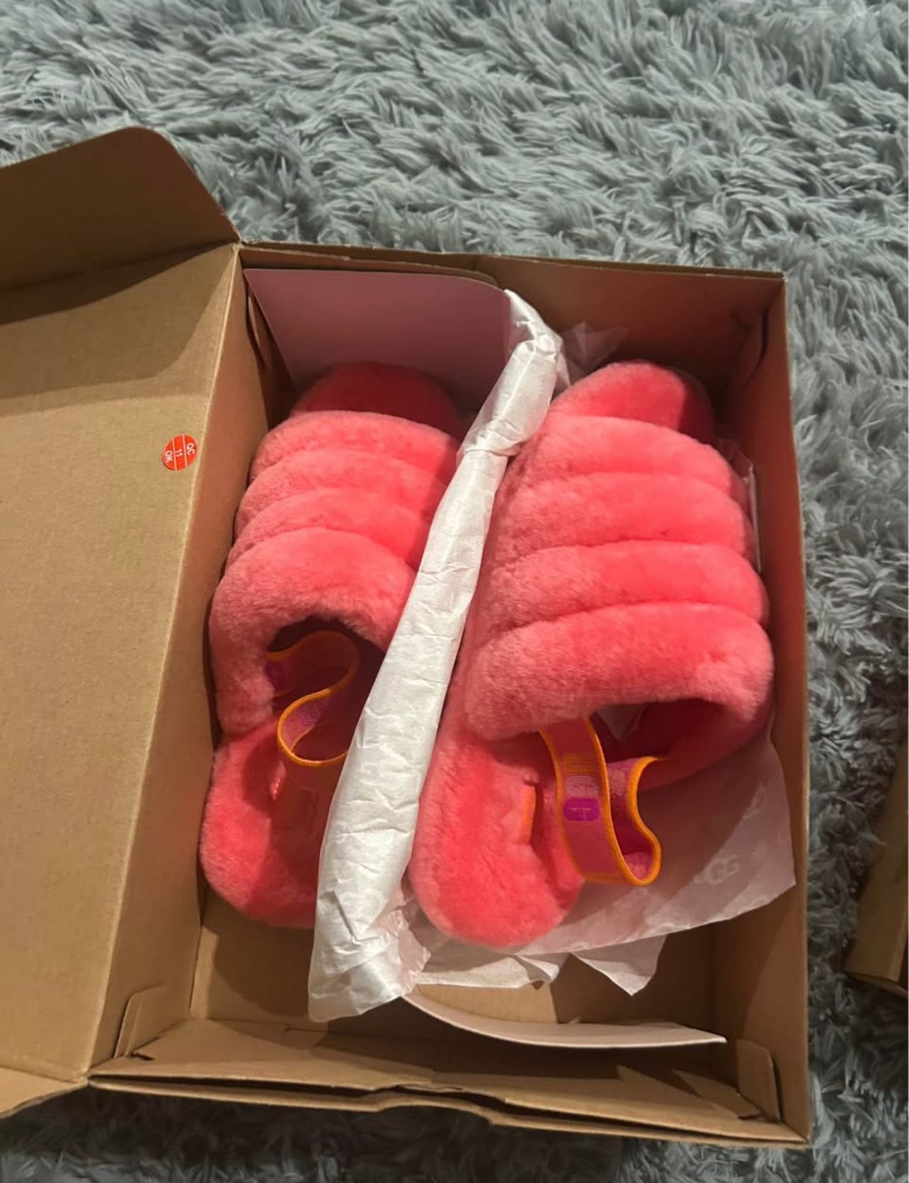 Ugg Slippers