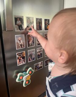 Personalized Fridge Magnet Photo Prints | Print your pet family and special moment to fridge magnet | Occasional Motto fridge photo magnets