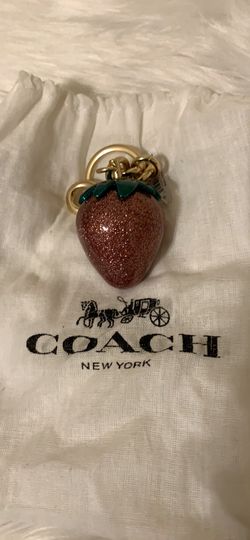 Coach Multicolor Legacy Stripe Loop Key Chain Key Ring for Sale in  Riverside, CA - OfferUp