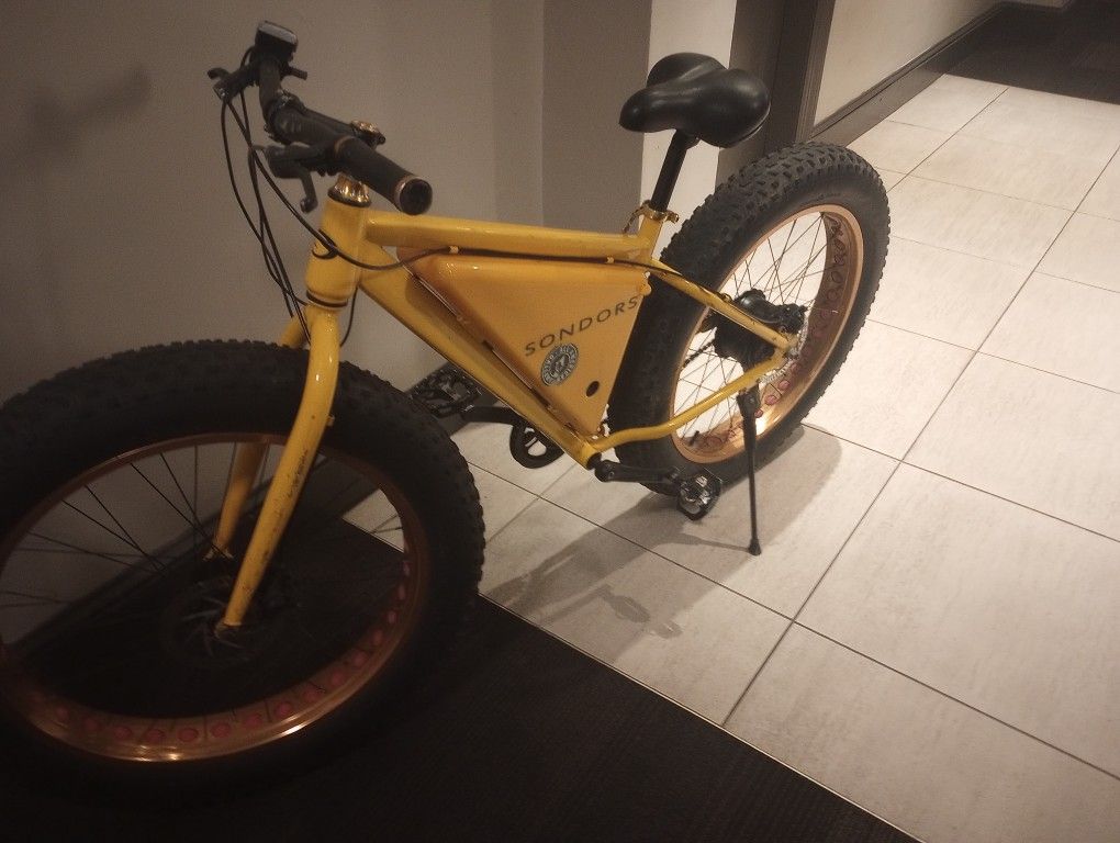 Mechanic Special Sondors Fat Tire