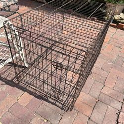 Dog Crate 36x25” 22” H Large