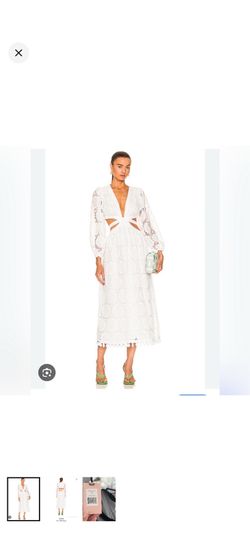 NWOT Alexis Stran Lace Dress
