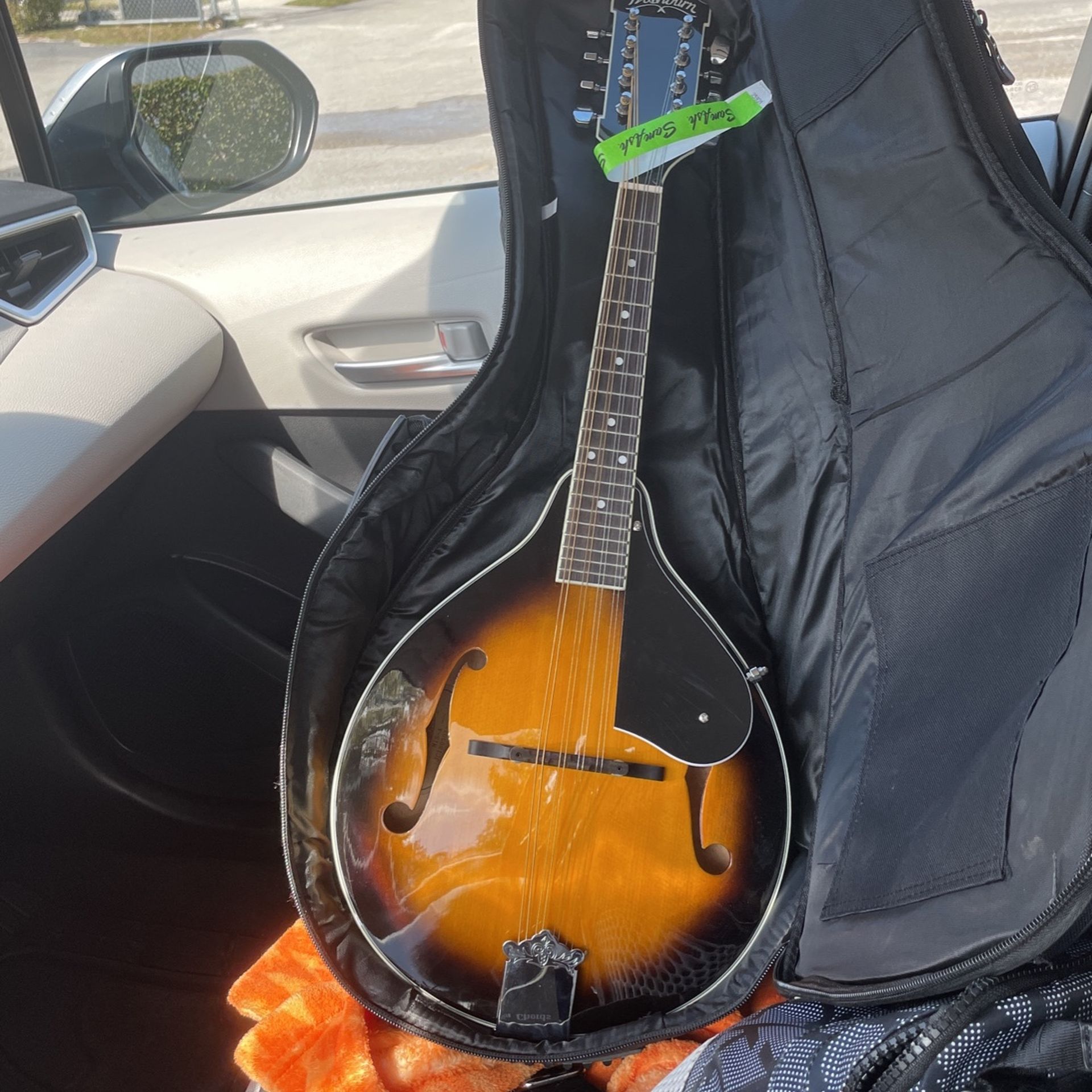 Washburn Mandolin