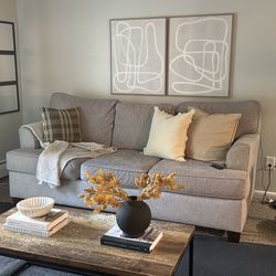 Light Grey Couch Stain Proof Easy To Clean