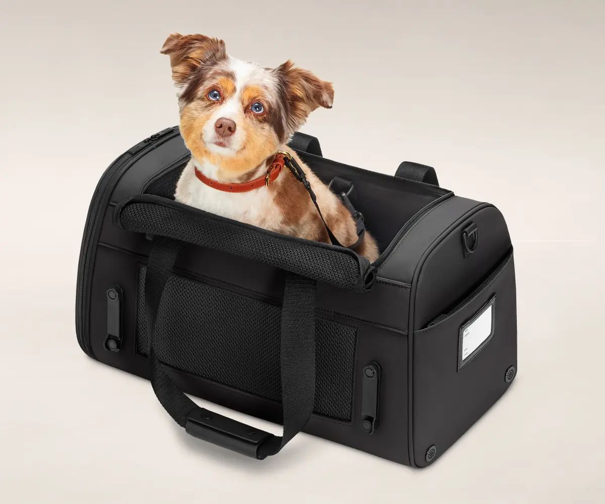Away Pet Carrier/Travel Bag