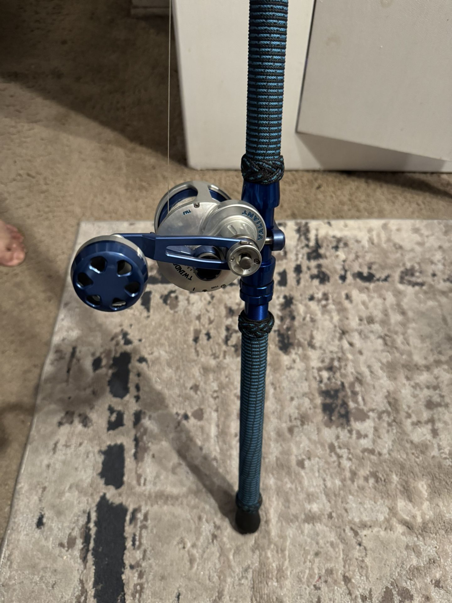 Fishing Reel and Pole