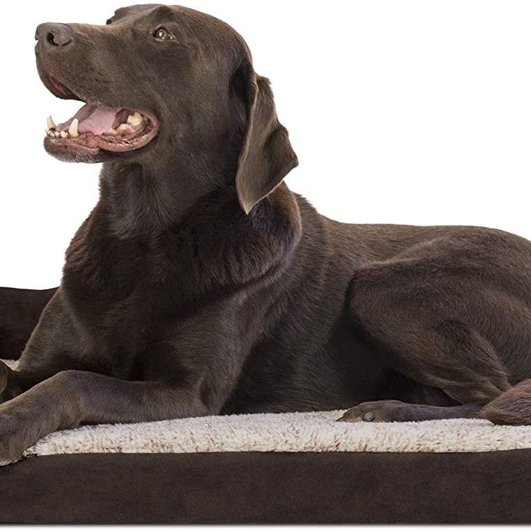 Pet Sofa Bed, plush orthopedic, Large, 3 feet long