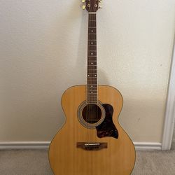 Acoustic Guitar 