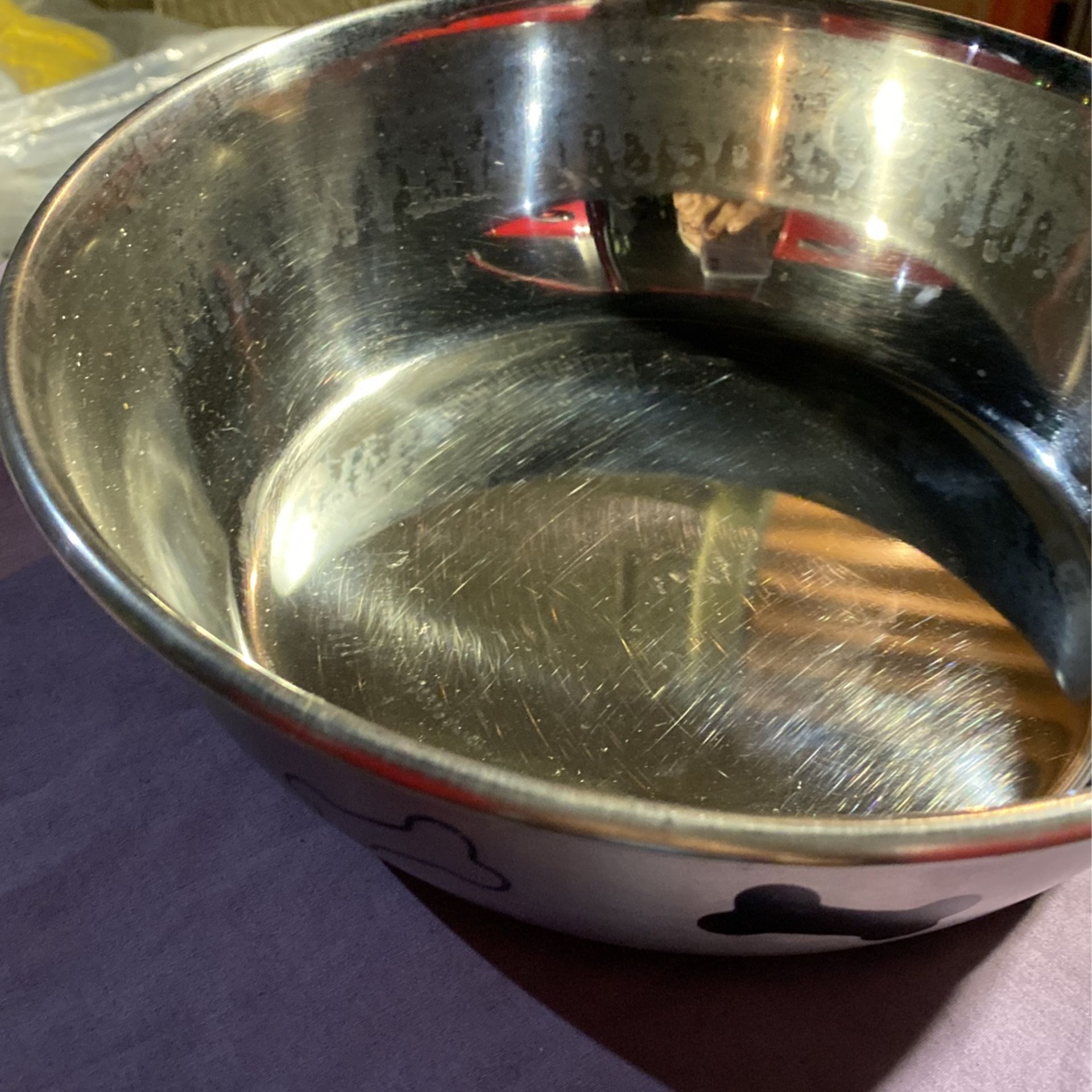 Durabolz Selecta Dog Bowl Diameter 9.5 3 Height for Sale in San Antonio TX OfferUp