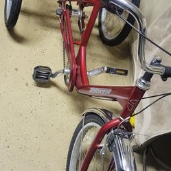 Adult Trike