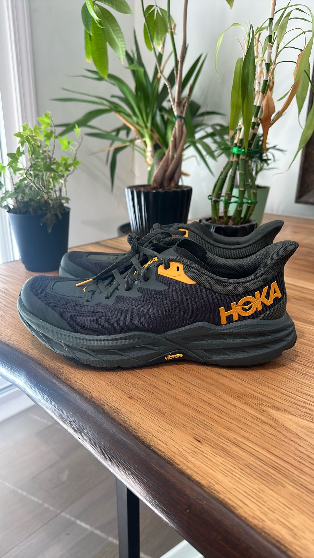 Men’s 10 Speed Goat 5 Never Worn