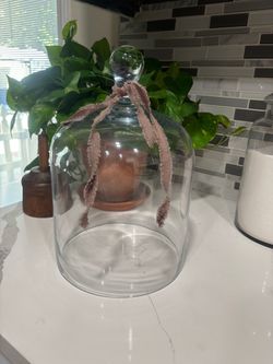 Glass Cloche