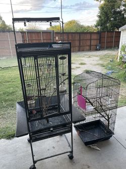 Used
